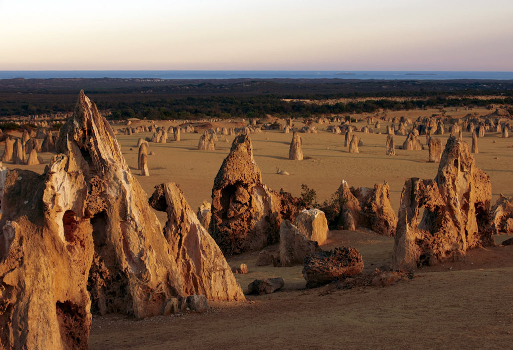 Pinnacles, Swan Valley Wildlife Park & Lancelin