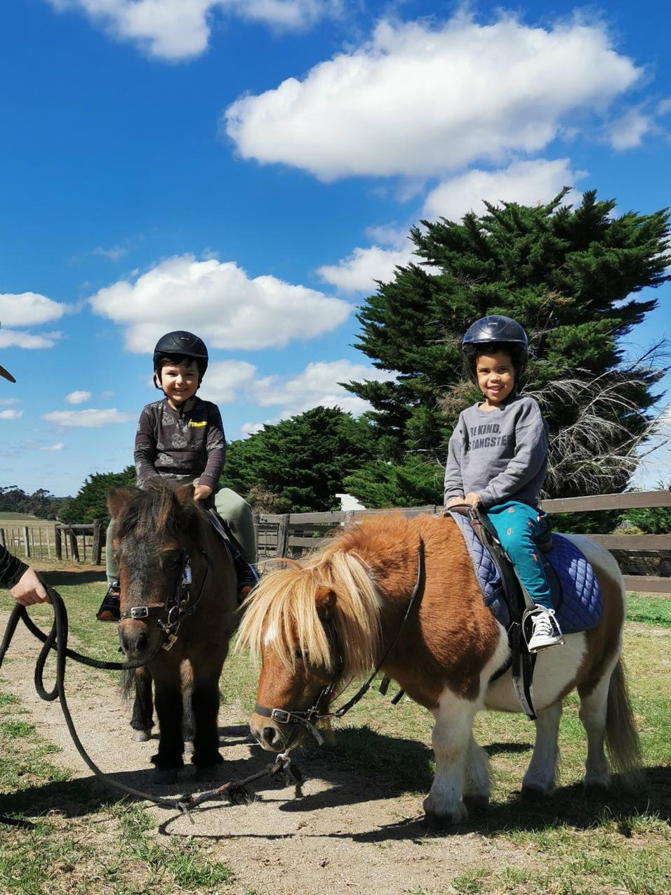 Hom Pony Pony Party - 1 Hour - Woodlands Lodge