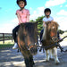 Pony Party - 1.5 Hours - Woodlands Lodge - We Wander