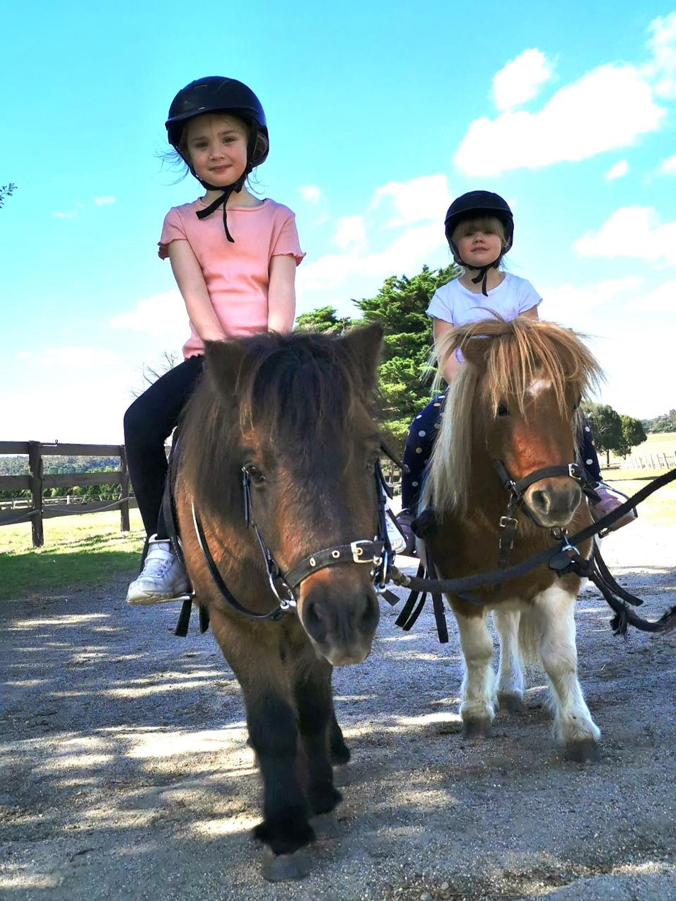 Hom Pony Pony Party - 1.5 Hours - Woodlands Lodge