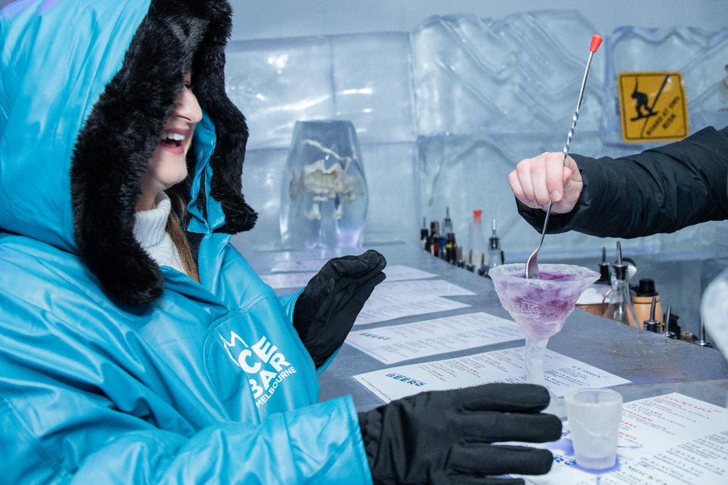 Premium Plus Arctic Experience At Icebar - We Wander