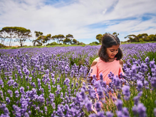 Private Coach - A Taste Of Kangaroo Island 24 Seater - We Wander