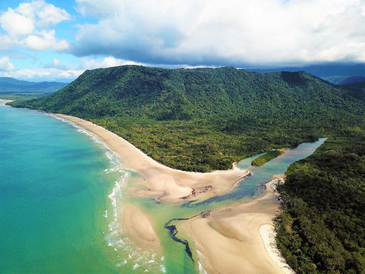 Private Daintree Rainforest Day Tour - We Wander