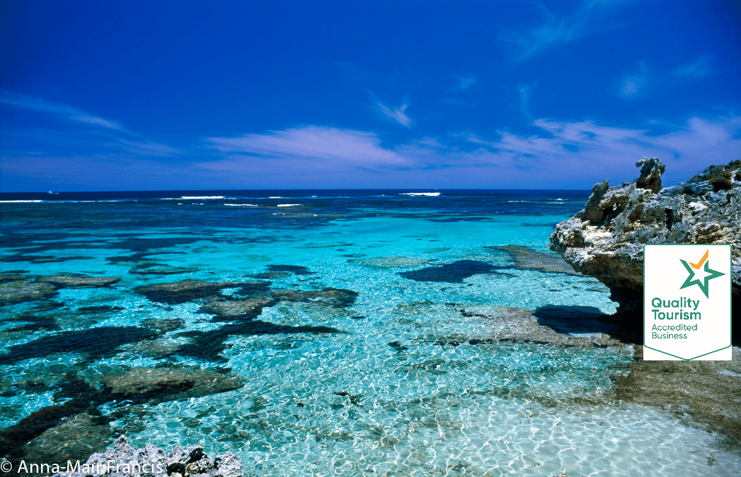 Rottnest 3 Day Photographic Workshop - We Wander