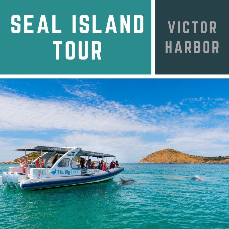 Seal Island Tour - We Wander