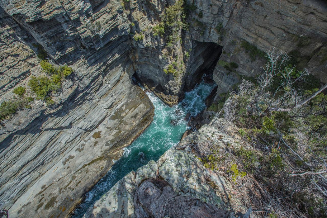 Shore Excursion - Port Arthur - Tasman Peninsula - We Wander