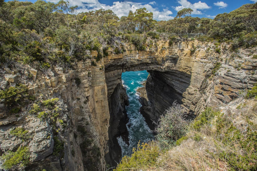 Shore Excursion - Port Arthur - Tasman Peninsula - We Wander