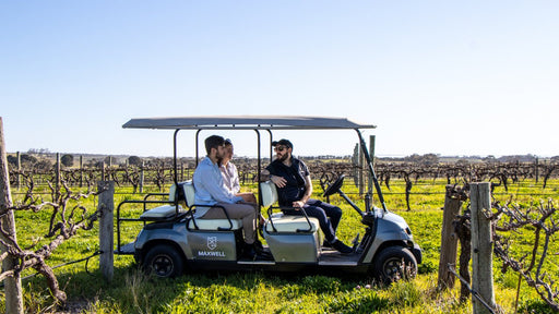 Sip, Savour, And Discover: Mclaren Vale's Sustainable Wine Journey - Private Tour - We Wander