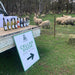 Six Glass Wine Tasting At The Mill - We Wander
