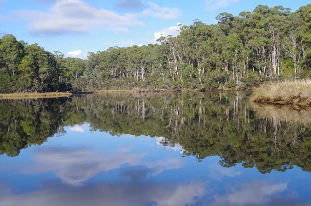 Leven River & History Cruise