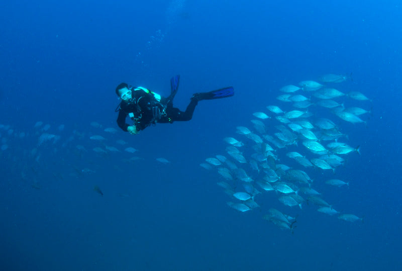 Double Dive: Ex-Hmas Brisbane Wreck