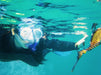 Snorkel With Sea Dragons - We Wander