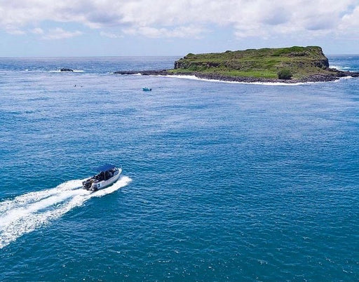 Snorkel With The Turtles In A Private Boat - We Wander