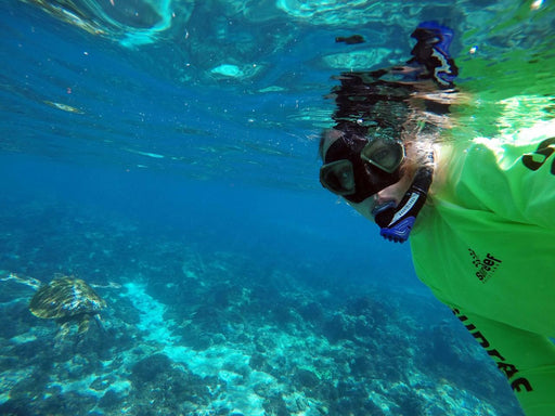 Snorkel With Turtles At Mudjimba Island - We Wander