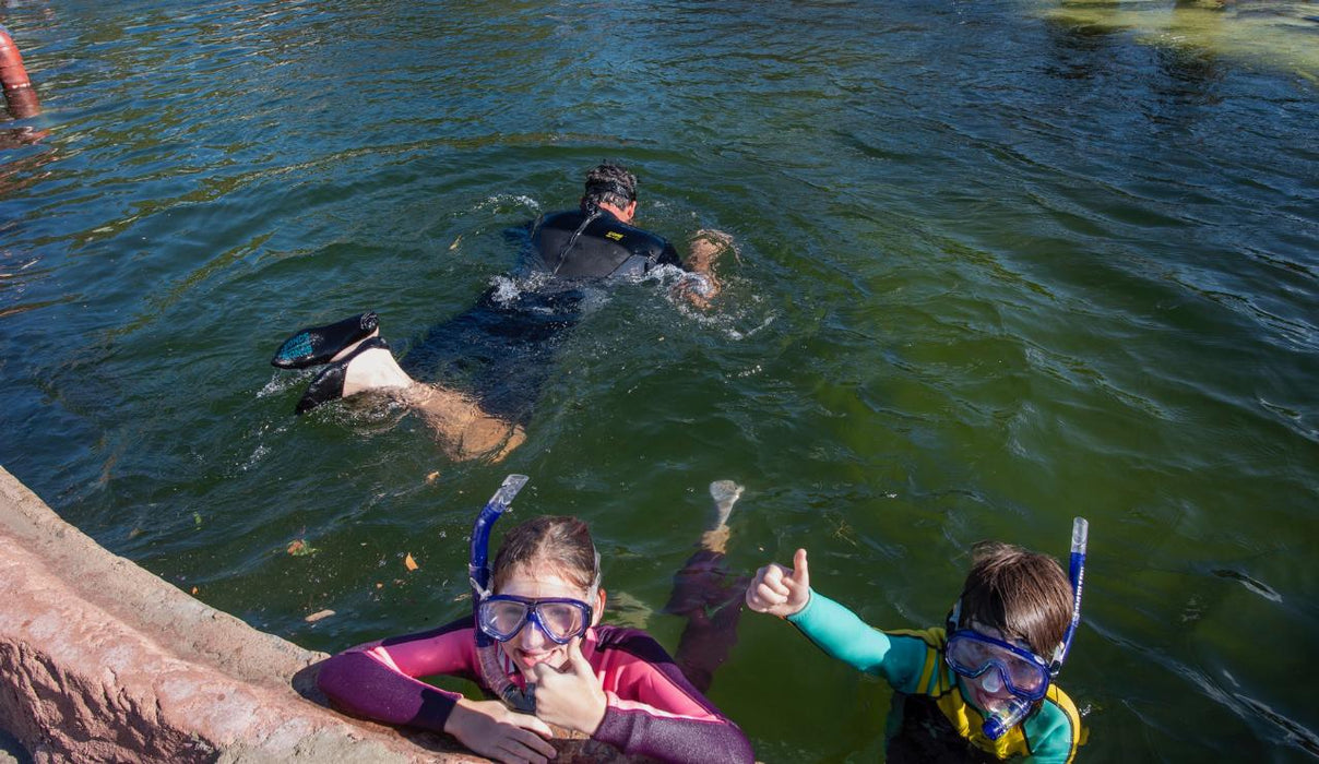 Stingray Snorkel With Entry Pass