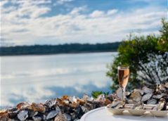 Oyster Farm Shuck And Chat