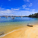 Sydney Icons, Bays & Beaches Cruise - We Wander