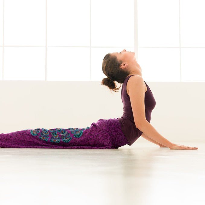 partner-Sriyoga and Meditation