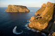 Tasman Island Cruises Full Day Tour From Hobart - We Wander