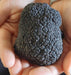 Truffle Hunt, Touch And Taste - We Wander
