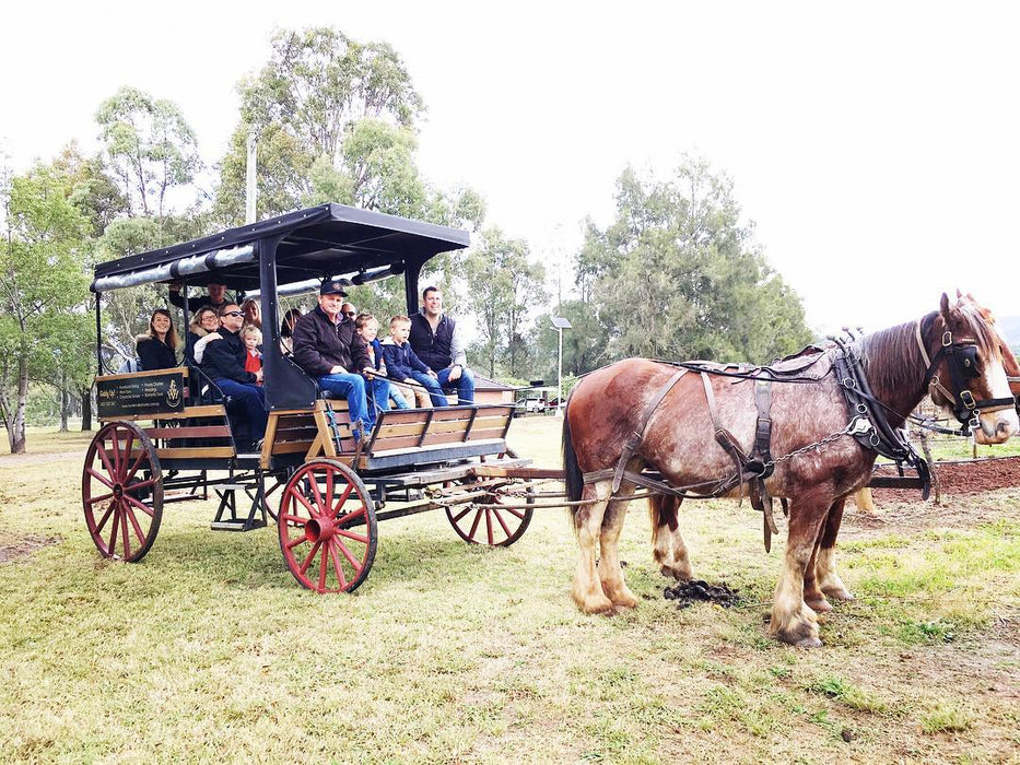 45-Minute Vineyard Horse-Drawn Carriage Ride