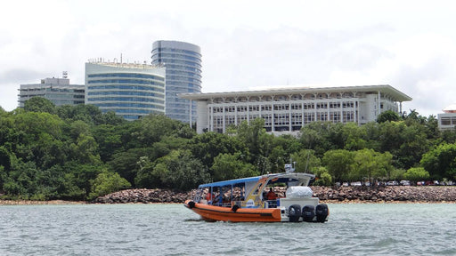 Up The Creek - Darwin Harbour Cruise - We Wander