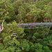 Valley Of The Giants Tree Top Walk - We Wander