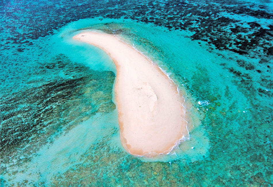 Coral Cay Bubbles