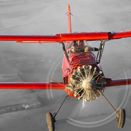 Warbird Aerobatic Flight - We Wander