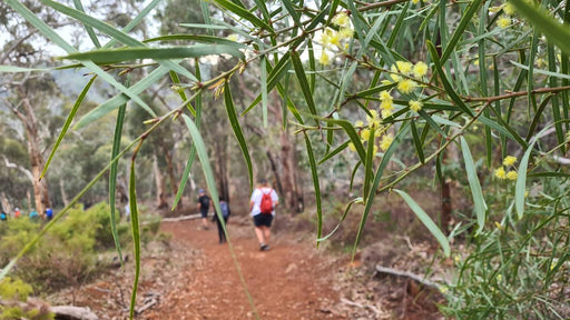 Waterfalls, Wildflowers & Wandoo Hiking Experience - We Wander