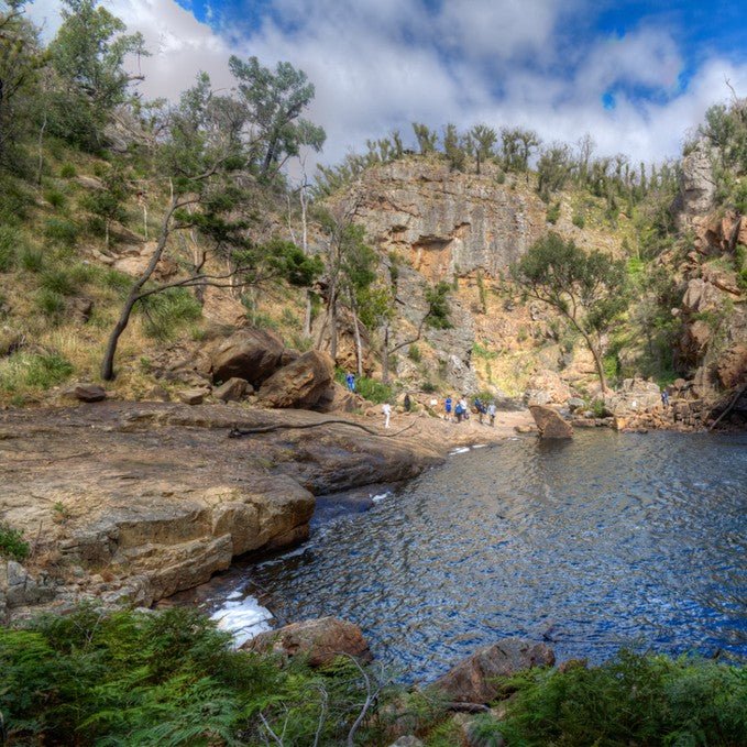 Wildlife Tours Australia: Hunter Valley Winery Tour - Sydney - We Wander